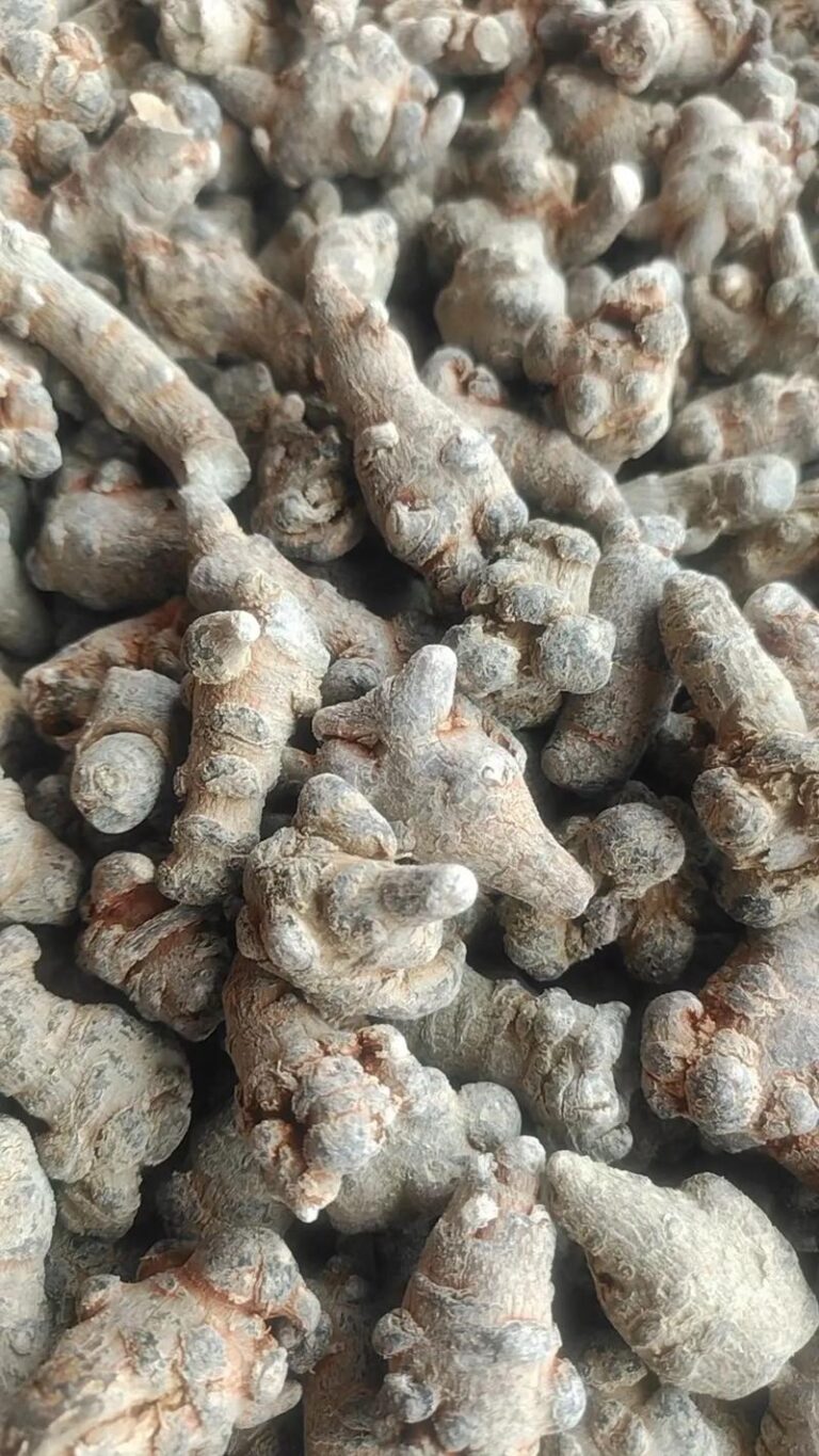 Real photos of Sanqi